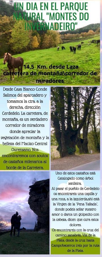 El Camino Daire Laza Dış mekan fotoğraf