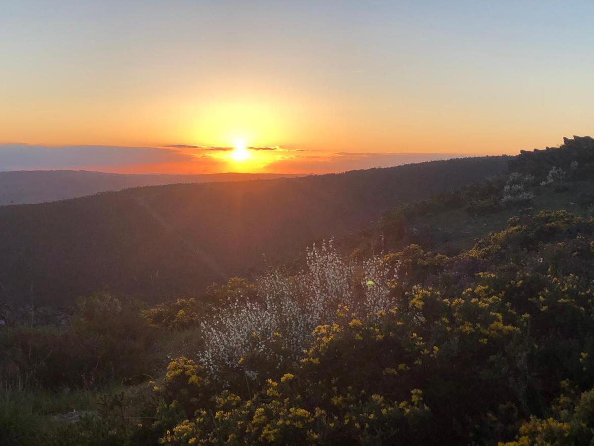 El Camino Daire Laza Dış mekan fotoğraf