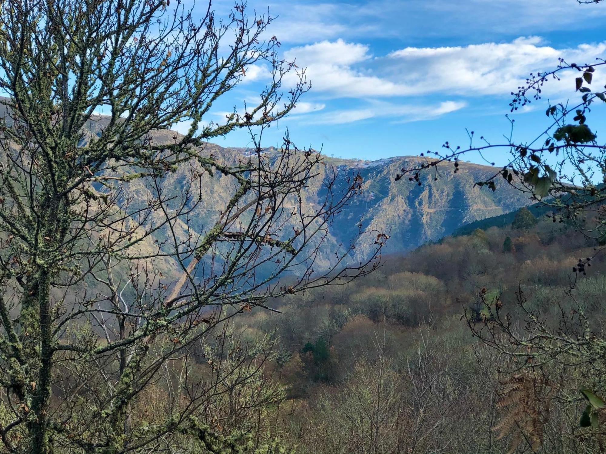El Camino Daire Laza Dış mekan fotoğraf